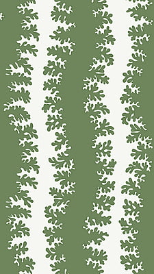 Elkhorn Stripe - Brookes Green - Ceiling White