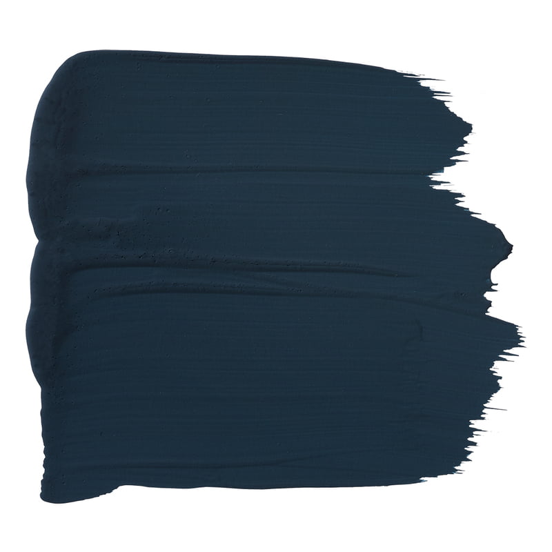001 - Beakster Blue Paint