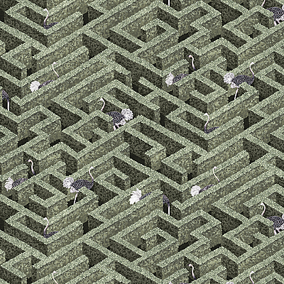 Labyrinth with Ostriches Wallpaper - Eucalyptus