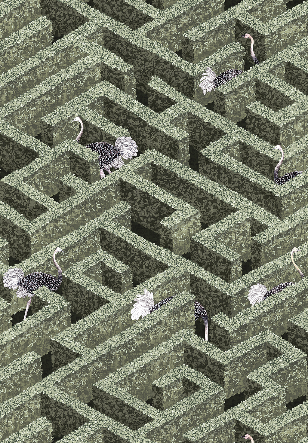 Labyrinth with Ostriches Wallpaper - Eucalyptus