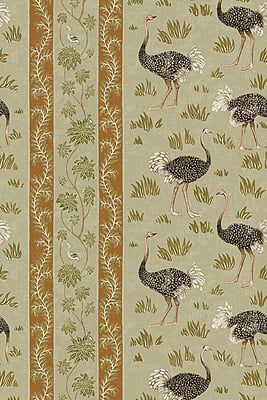 Ostrich Stripe Wallpaper - Olive and Orange