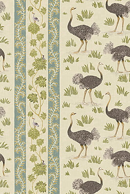 Ostrich Stripe Wallpaper - Cream and Green